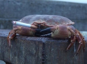 Create meme: cancer, Mr. crab, crab