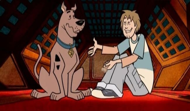 Create meme: Scooby Doo cartoon, Scooby Doo, Shaggy Scooby Doo