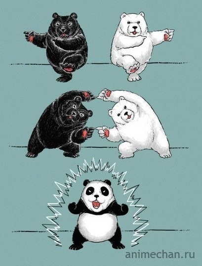 Создать мем: три медведя белый панда или гризли, веселый медведь, медведь панда