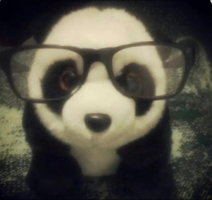 Create meme: panda plush mini, Panda , panda without black