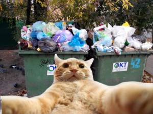 Create meme: garbage, johnny catsvill and tree, trashcan photo