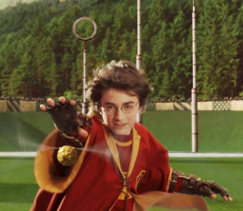 Create meme: Harry Potter , Harry Potter Quidditch, Harry Potter and the Philosopher's Stone 2001