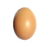 Создать мем: яйцо домашнее куриное, накладные яйца, куриные яйца