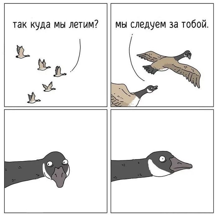 Создать мем: летят гуси, мем про гуся и пуховик, утка и гусь