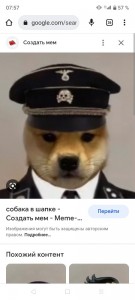 Создать мем: собака в шапке, doge в кепке, скриншот