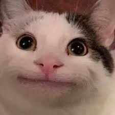Create meme: cat, smiling cat meme, stoned cat meme