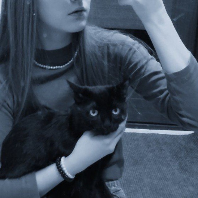 Создать мем: человек, девушка с черным котом, кот