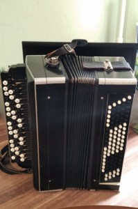 Create meme: accordion musical instrument, Bayan