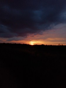 Создать мем: фотографии закат небо подмосковье, sunset sky, небо