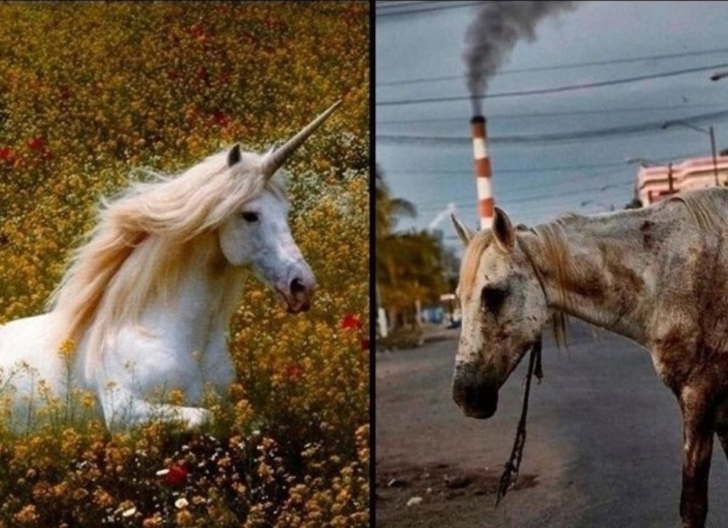 Create meme: aesthetics of unicorns, unicorn , white horse