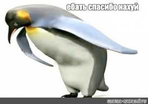 Create meme: penguin, penguin, penguin thank you