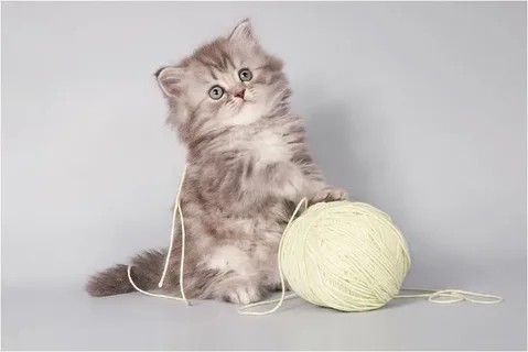 Создать мем: котята играют с клубочками, кот играет с клубком, котик с клубком