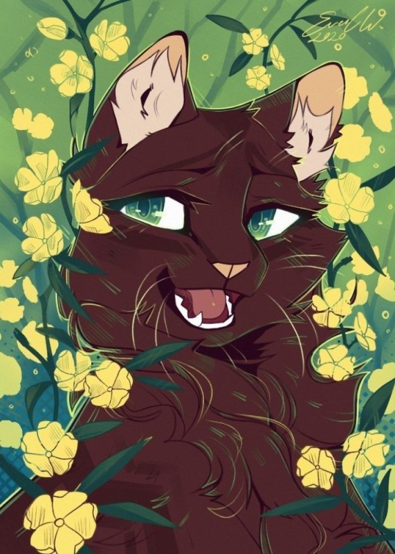 Create meme: warrior cats, hollyleaf kv songsteps, ostrozvezd cats warriors