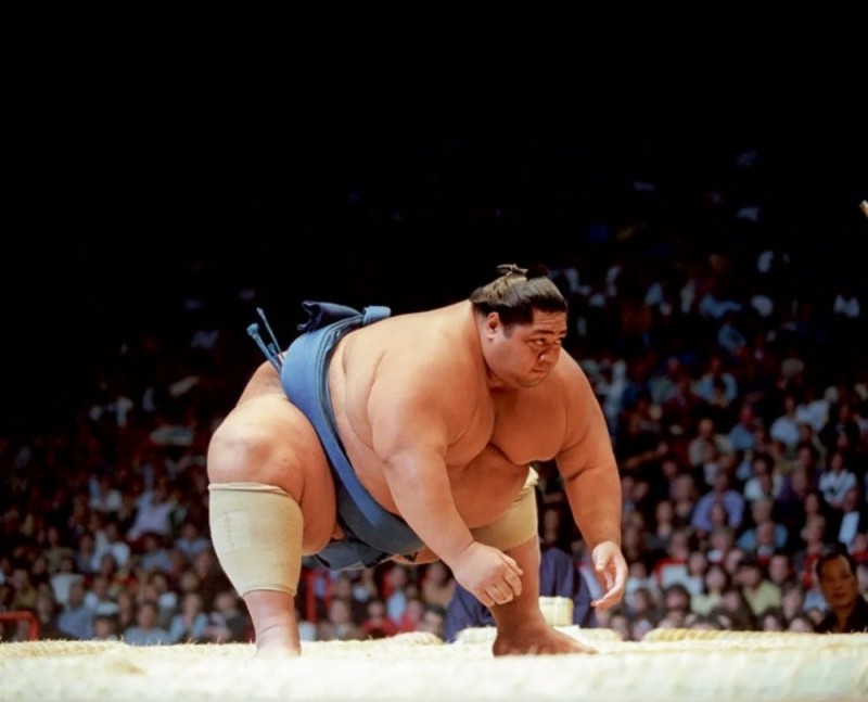 Создать мем: сумо, кобзев, самый большой борец сумо