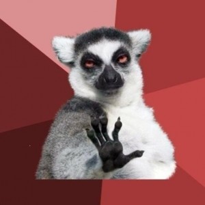 Create meme: raccoon uzbagoysya, lemur, uzbagoytes