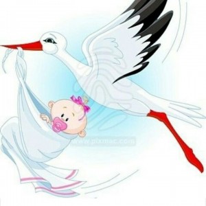 Create meme: stork with girl, stork with baby picture, stork with baby