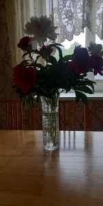 Create meme: flowers in a vase baccara, roses, flowers