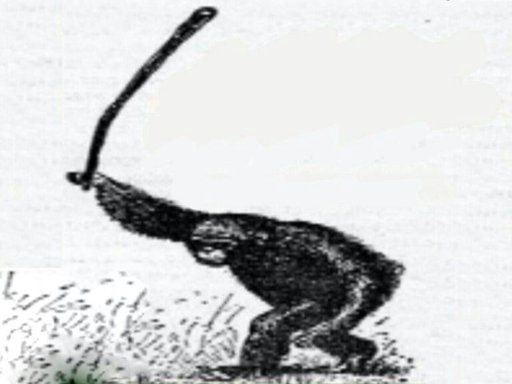 Create meme: Savannah chimpanzees, rebellion a monkey with a stick, Bund monkey