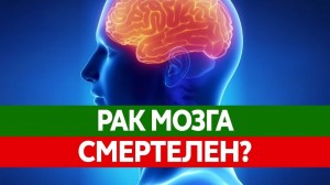 Создать мем: мозги, головной мозг картинки, анатомия человека мозг и память