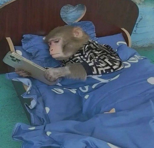 Создать мем: обезьяна, абу обезьянка, спящая обезьяна