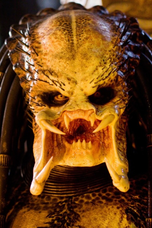 Create meme: predator , the face of a predator, Predator movie