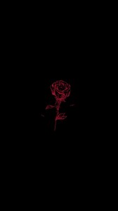 Создать мем: неоновый арт красно черный, контур розы на черном фоне, роза на черном