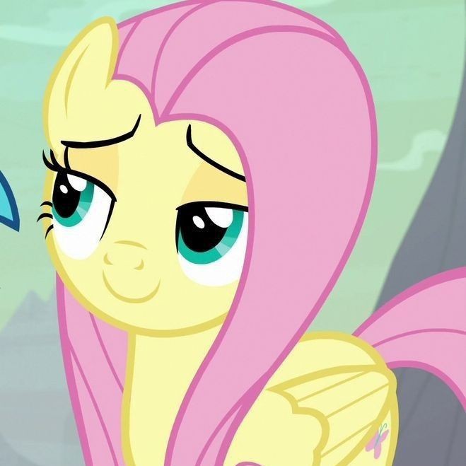 Create meme: fluttershy frames, fluttershy , fluttershy 