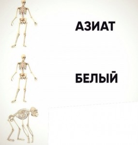 Create meme: skeleton ok sign, humano, iskelet