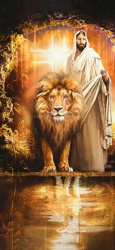Создать мем: a lion, лев иуды, иисус лев иудин