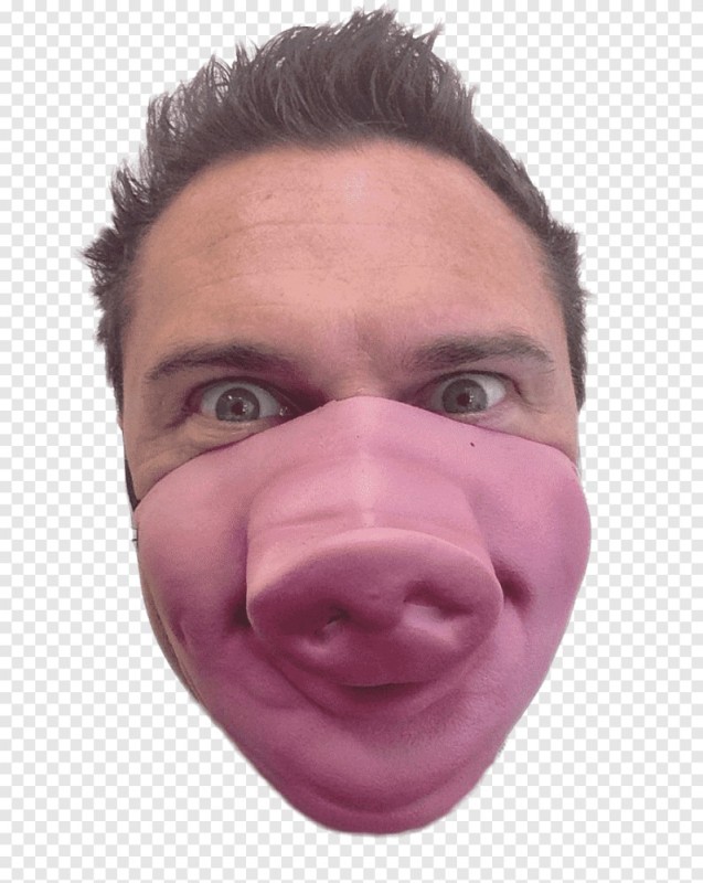 Create meme: the pig mask, latex mask, funny mask