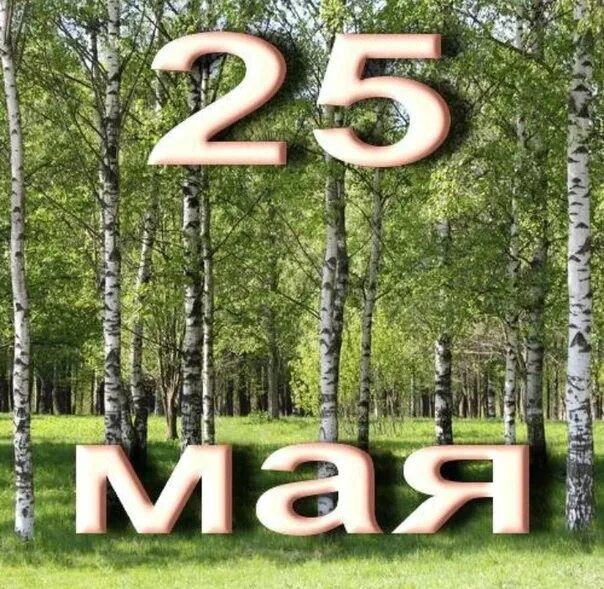 25 мая рф. 25 Мая календарь. 25 Мая число. 25 Мая картинки. 25 Мая праздник.