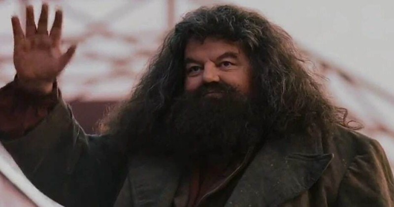 Create meme: rubeus hagrid, hagrid from Harry Potter actor, Hagrid from Harry