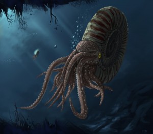 Создать мем: морские чудовища, наутилус моллюск доисторический, аммонит