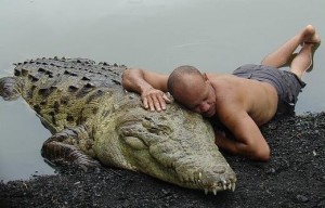 Создать мем: рыбак чито и крокодил почо, крокодил спас человека, крокодил почо и его сумасшедший хозяин чито