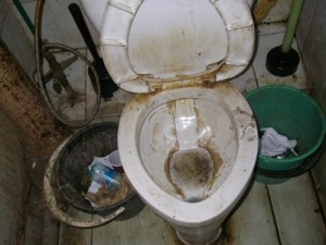 Create meme: stool photo, buy a toilet seat used on Craigslist, dirty toilet