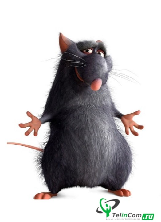 Create meme: ratatouille mouse, ratatouille rat, ratatouille rat father