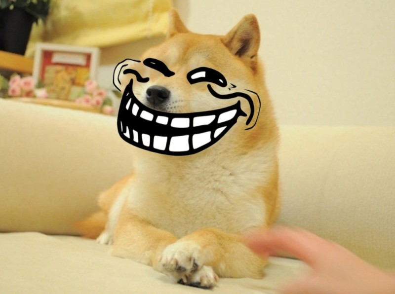 Create meme: doge dog , shiba inu dog, doge original