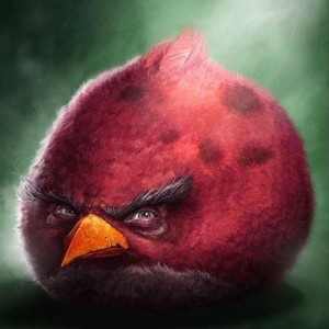 Create meme: angry birds red, The evil bird of the Angri Birds, angri birds birds