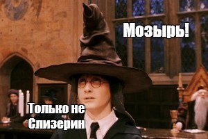 Create meme: hat from Harry Potter, just not Slytherin meme, Harry Potter hat