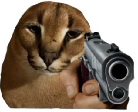 Создать мем: кот с пистолетом, шлепа, шлёпа кот