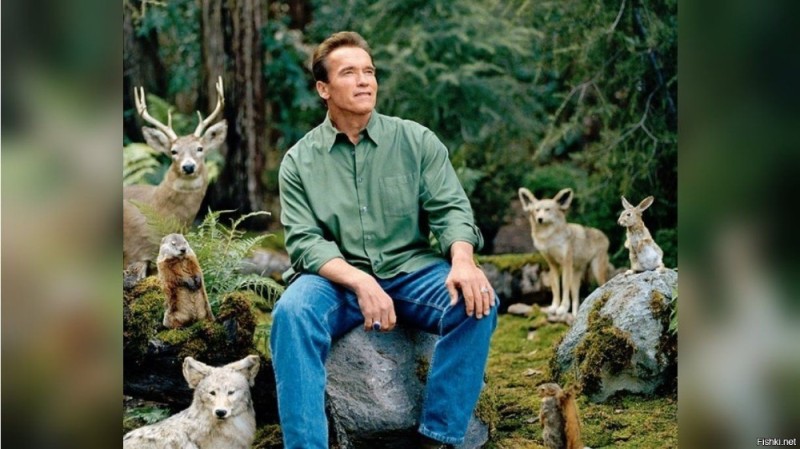 Create meme: Schwarzenegger on the nature of the meme, meme arnold schwarzenegger in the woods, Schwarzenegger in the woods
