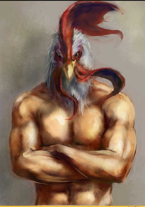 Create meme: people , photo of cock, rooster 