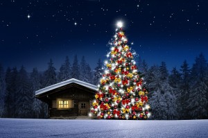 Create meme: beautiful Christmas tree, new year, new year's eve