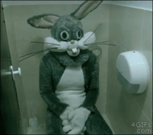 Создать мем: мем с зайцем на туалете, кролик, гифка с кроликом на туалете