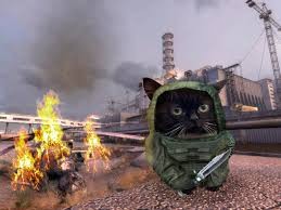 Create meme: the stalker cat, The cat is a schmuck stalker, Chernobyl Stalker