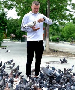 Create meme: feed the pigeons, pigeons in the courtyard, dove