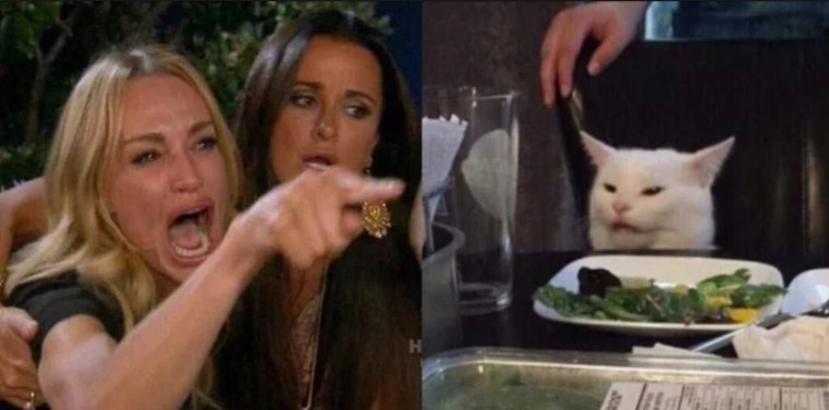 Создать мем: мемы с двумя девушками и котом, кот мем, мем с котом за столом