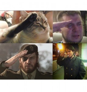 Create meme: ready memes, cat salutes meme, memorial to honor