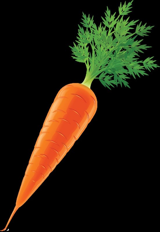Создать мем: морковка спереди, морковка рисунок для детей, морковка на прозрачном фоне