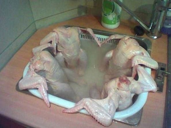 Create meme: chicken in the jacuzzi, chicken in the sink, funny chicken
